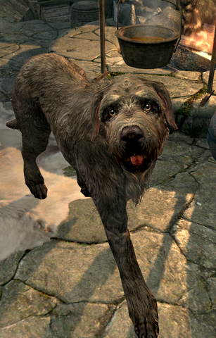 File:TiberDog.png