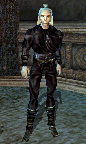 File:Hoki.png