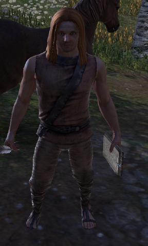 File:Trader Renko.png