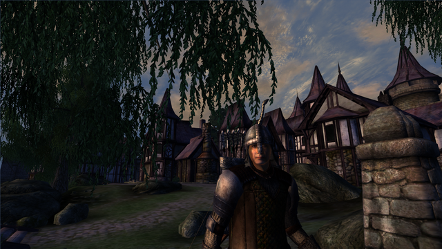 File:TESIV Guard Cheydinhal 2.png