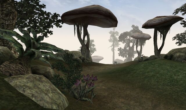 File:Ascadian Isles.jpg