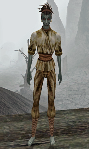 File:Dilami Androm.png