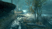 Misty Grove Scenery