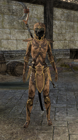 File:Phaer Mercenary Disguise Female.png