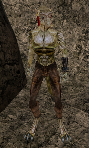 File:Nuralg.png