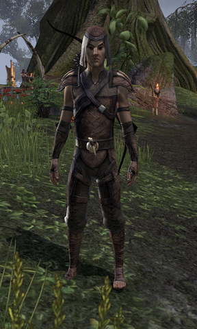 File:Eringor.png