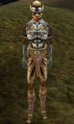 File:Shin Assemmus.png