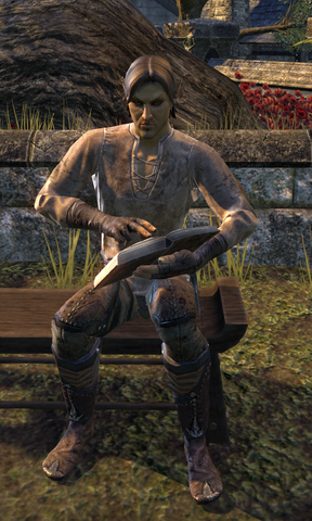 File:Cinnar.png