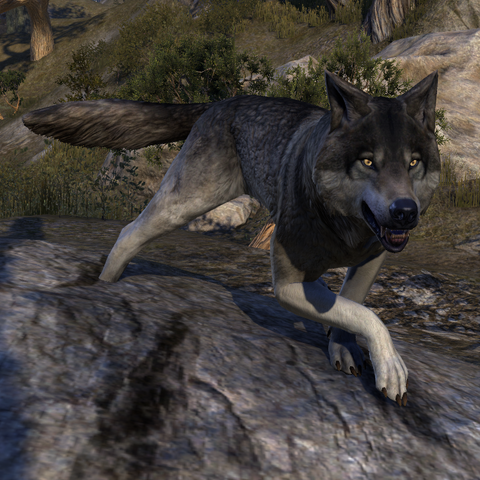 File:ESO Dire Wolf.png