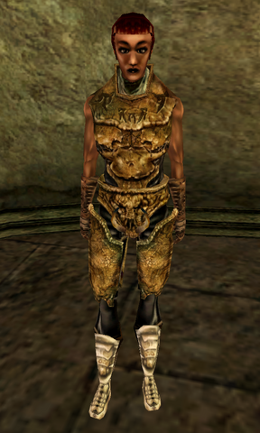 File:Landa.png