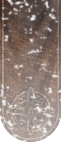 File:TESV Banner RiftenTemple.png