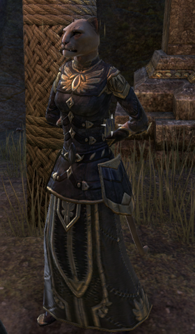 File:Thalmor Representative.png