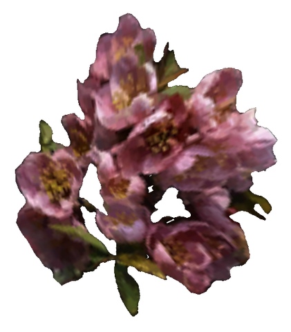 File:Timsa-Come-By Flowers Tribunal Ingredient.png