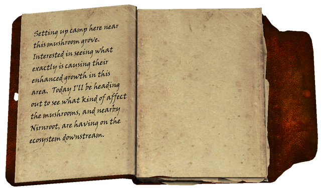 File:Alchemist's Journal2.png