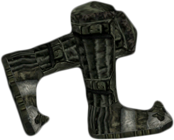 File:Snow Bear Boots.png