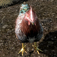 Chicken Skyrim