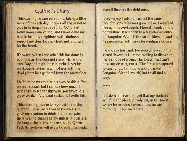 File:Gathiel's Diary.png