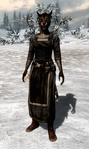 File:Zaynabi.png