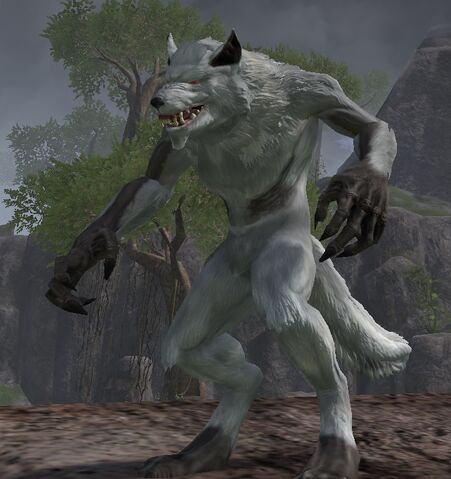 File:Alpha wolf.jpeg