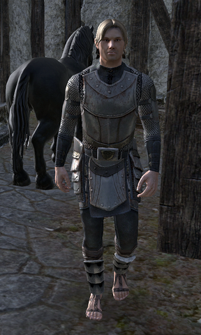 File:Squire Nicolas.png