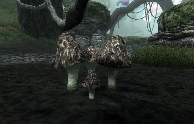 File:Blister Pod.png