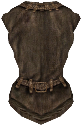 File:ShirtCommon06F.png