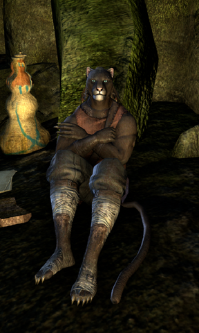 File:Panizir.png