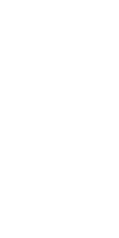 File:Dwemeris B.png