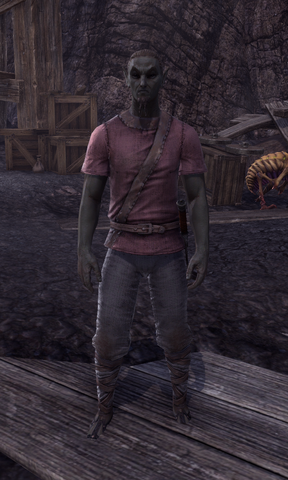 File:Drelden Orn.png