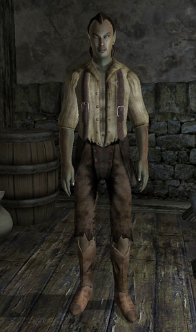 File:Erver Devani.png