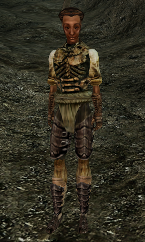 File:Hussonia.png