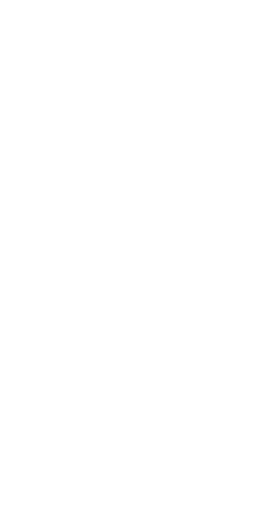 File:Dwemeris A.png