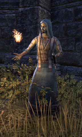 File:Mage Vendras.png