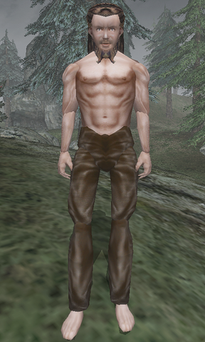 File:Fanar Fork-Beard - Morrowind.png