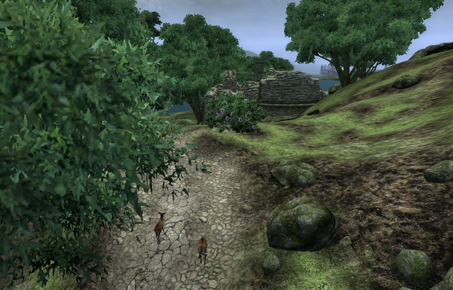 File:Green Road.png