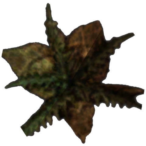 File:Morrowind Bittergreen Petals.png