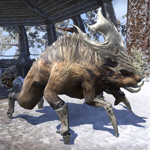 File:Woolly.png