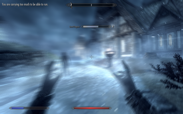 File:Blizzard(first person).png