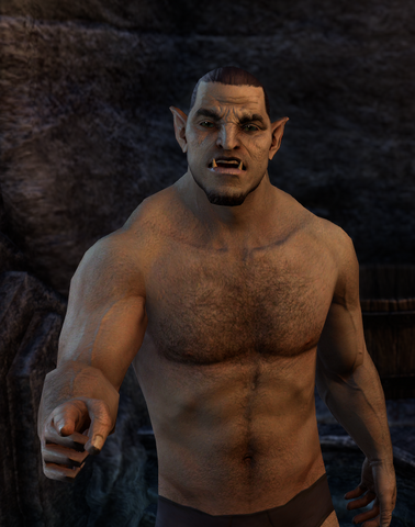 File:Invitation to Orsinium 7.png