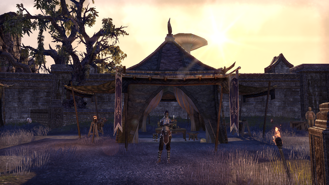 File:The War-Worn Carapace.png
