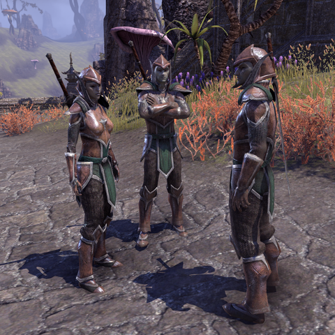 File:Vanguard Duelist.png