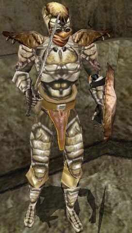 File:Mor-chitinarmor.jpg