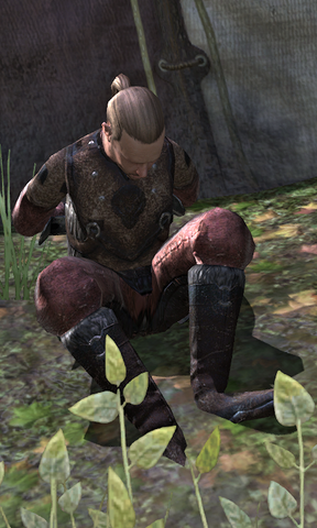 File:Kip Orinth.png