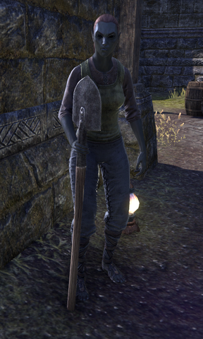 File:Llarevis Virian.png