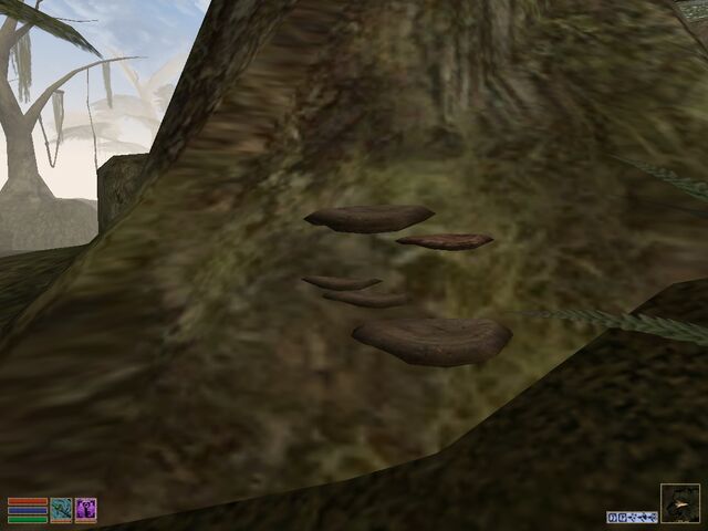 File:Mushrooms.jpg
