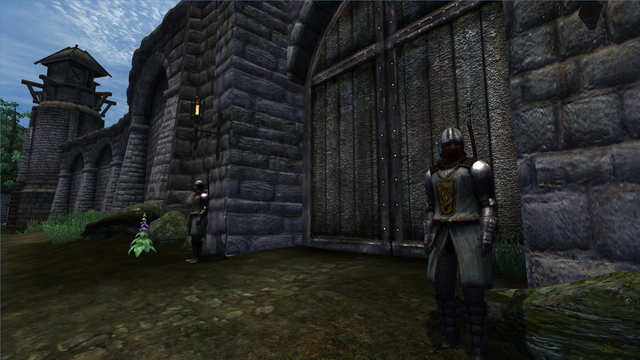 File:TESIV Guard Leyawiin 3.png