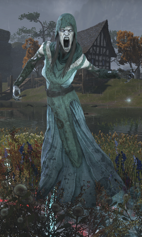 File:TESO Wispmother.png
