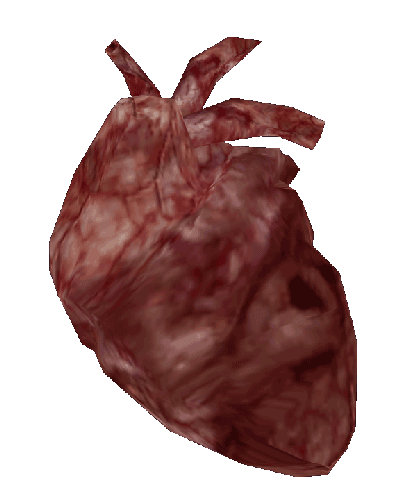 Daedra Heart (Oblivion) | Elder Scrolls | FANDOM powered by Wikia
