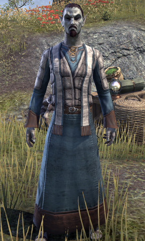 File:Healer Senar.png