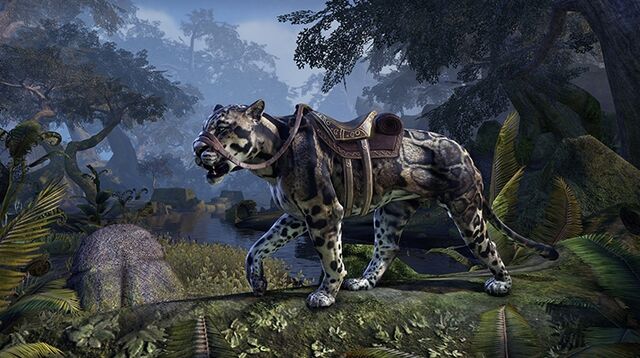 File:Clouded Senche-Leopard.jpg
